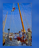 2011Oct_Illustrative_Skipper'sSeat